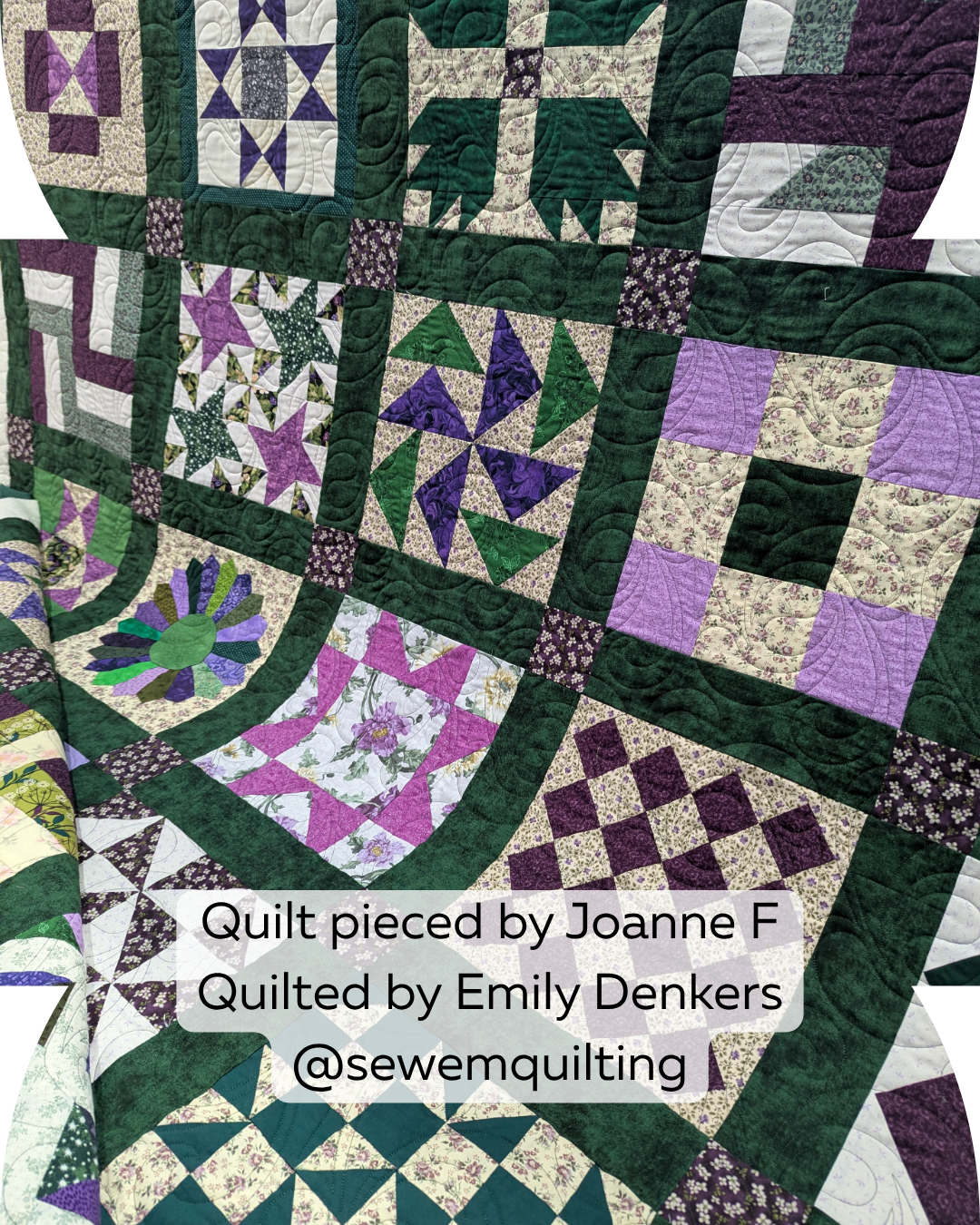 Allegro swirl quilting pantograph stitched across a green and purple sampler quilt with elegant edge-to-edge swirls