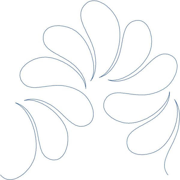 Fanned Feathers