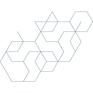 Hexagonsss