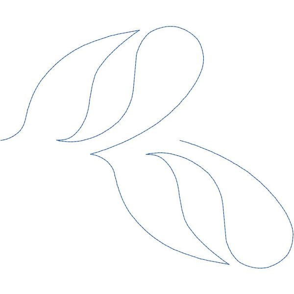 Kelp