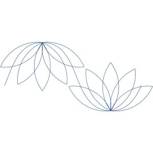 Lotus Pond