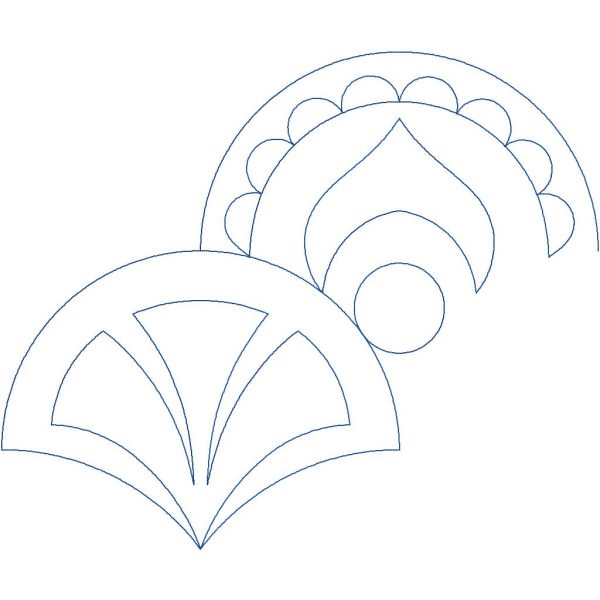 Peacock Clam