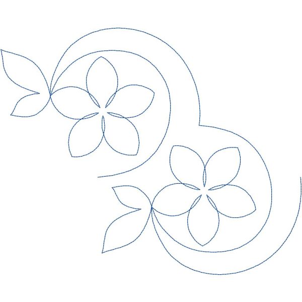 Pixie Bloom