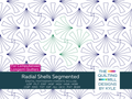 Radial Shells Segmented