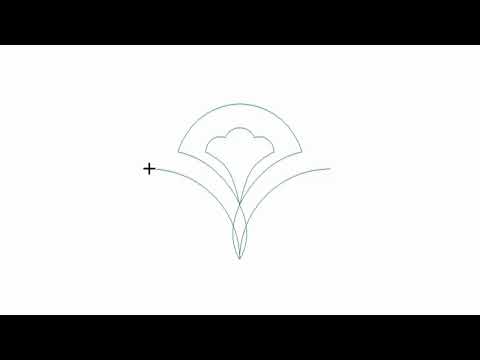 Fanciful Fans Scallop