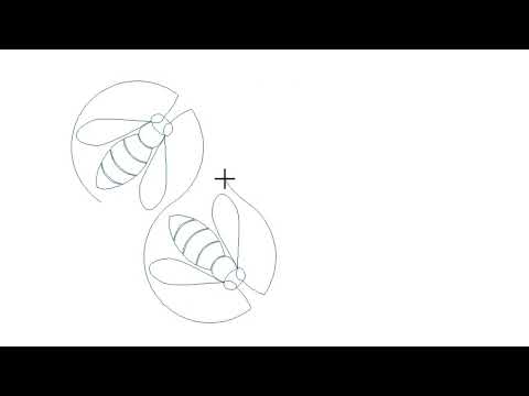 Ribbon Bees