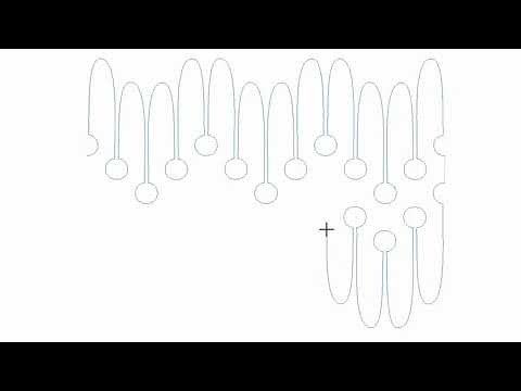 Spore Extended Width