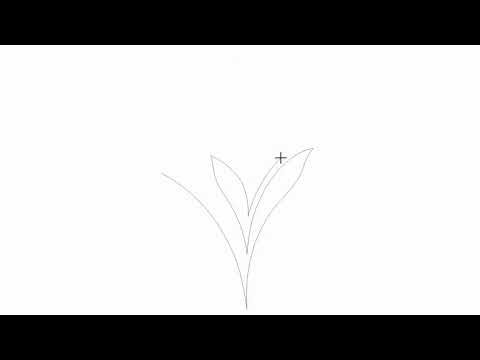 Foliar Fan
