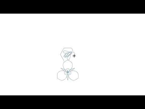 Video demo of Bee-Utah-Ful bee quilting pantograph stitching charming buzzing bees and delicate flowers with zero backtracking on a longarm quilting machine