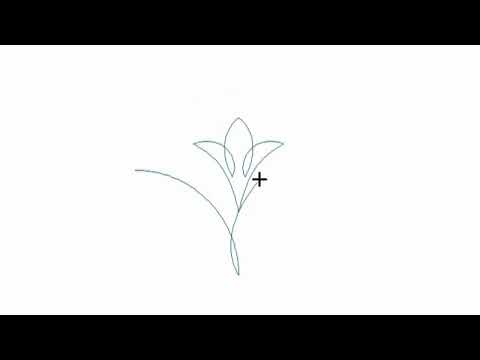 Fanciful Fans Bloom