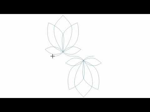 Lotus Reflections