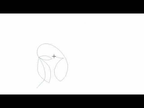 Video demo of Bella Butterfly longarm butterfly pantograph stitching elegant butterfly wing shapes and graceful looping curves with zero backtracking on a longarm quilting machine